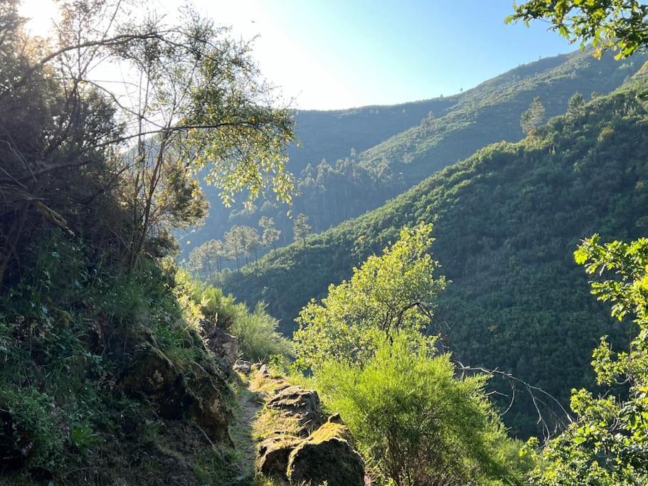 Casa Do Sol - Natureza & Lazer - Serra Da Freita Arouca Esterno foto